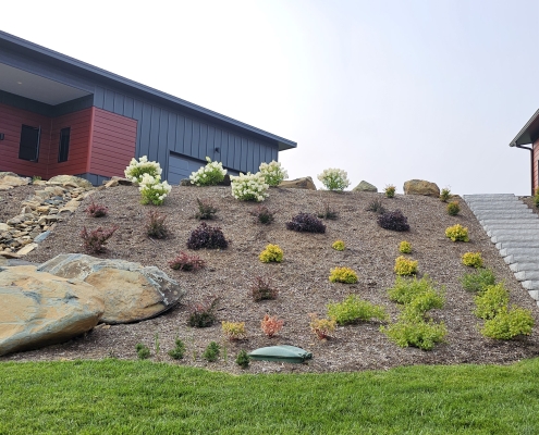 custom home exterior with hillside landscaping