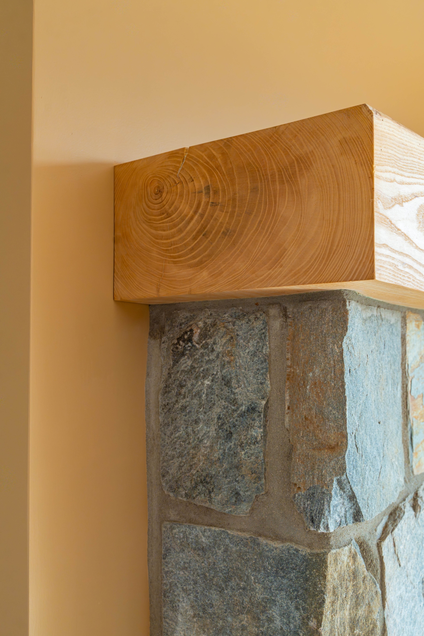 Elk Rock Craftsman-66